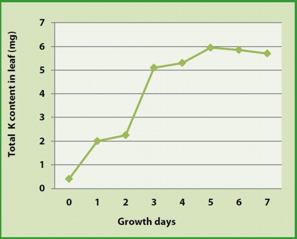 Cucumber Growth Chart