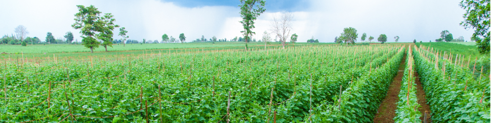 Expert recommendations