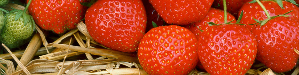 Complete Crop Guides