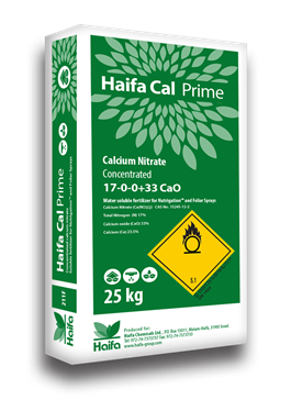 Haifa Cal ™ Prime