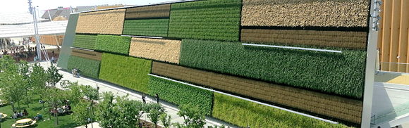 Vertical Field at EXPO Milano 2015