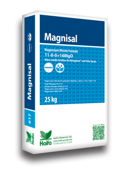 Magnisal - Magnesium nitrate