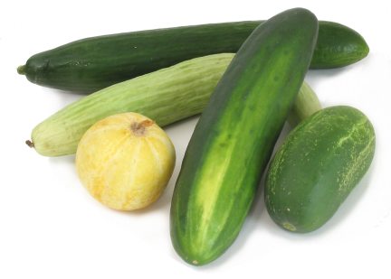 Growing cucumbers, cucumber types