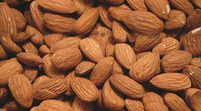 Almonds compressed - کود مناسب نهال بادام چیست ؟