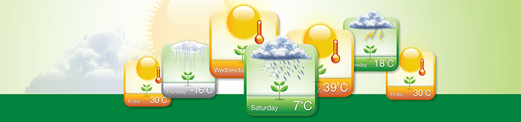 Everybody talks about the weather. We are doing: Facing climate change effects on agriculture