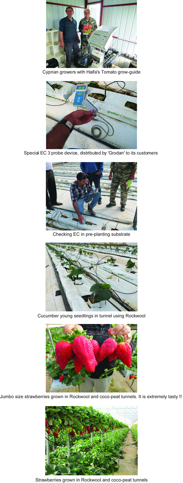 Cyprus Hydroponic and soilless cultures