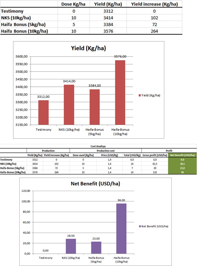The many benefits of soybean foliar feeding with Haifa Bonus