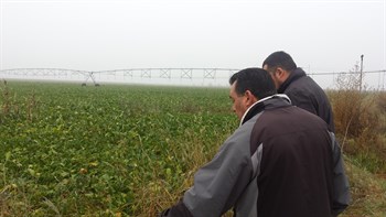 Éxito del fertilizante de liberación controlada CoteN™ Mix en el cultivo de la remolacha de la zona norte.