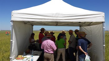 Jornadas de campo para divulgar el buen comportamiento del CoteN™ Mix en el cultivo del cereal.