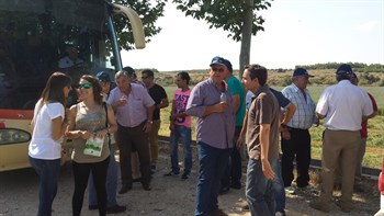 Jornada de campo sobre la fertilización del cultivo del maíz, con fertilizantes de liberación controlada de única aplicación en presiembra, en diferentes modalidades de siembra. (Seminsa – Haifa Iberia)