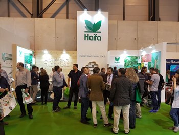 Haifa Iberia participated in Fruit Attraction 2017, the great event of the international fruit and vegetable sector
