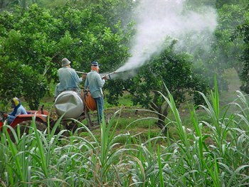 The battle against plant epidemics