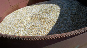 Cote n mix para el cultivo del arroz en la zona de Valencia.