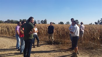 Visita de campo a la zona de Badajoz para observar el estado del cultivo del maíz, fertilizado con CoteN™ Mix en pre-siembra y sin abonado de cobertera.