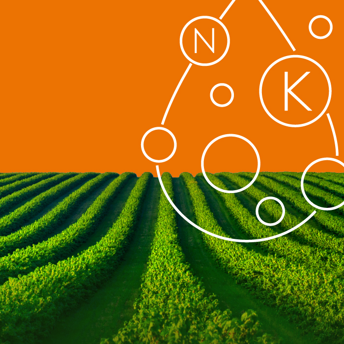 Potassium Nitrate