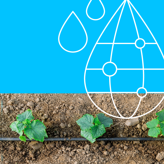 Water-Soluble Fertilizers