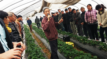 Visiting growers in China