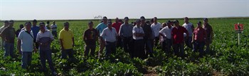 Jornadas de campo para mostrar la actuación del fertilizante Cote N Mix® en la provincia de León (Haifa Iberia, S.A.)