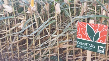 Fertilizantes de liberación controlada CoteN™ Mix, Máxima producción con una única aplicación de fondo.