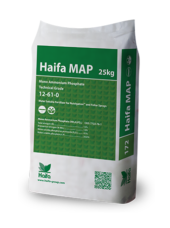 Haifa MAP