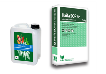 Haifa iberia promueve su catálogo de productos para agricultura ecológica