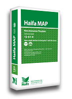 Haifa MAP