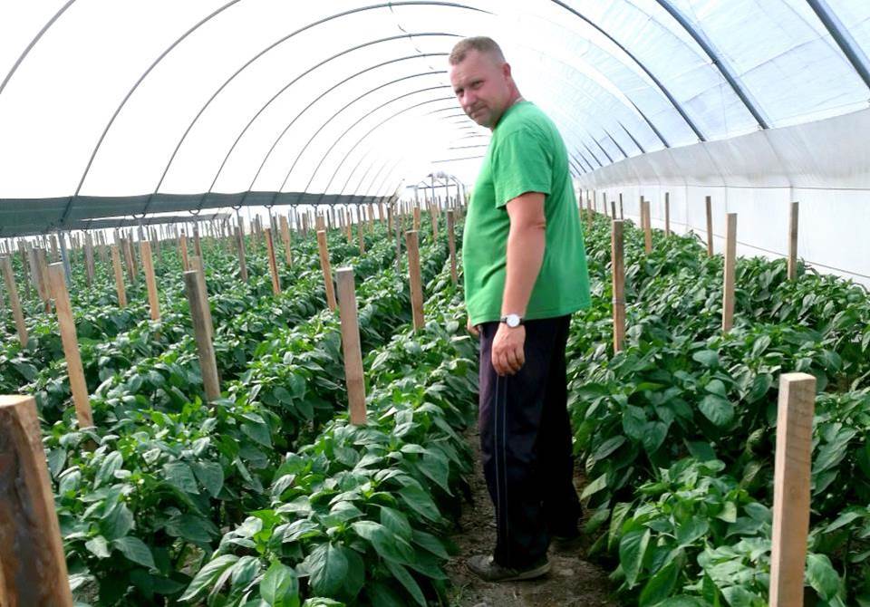 Polytunnel grower