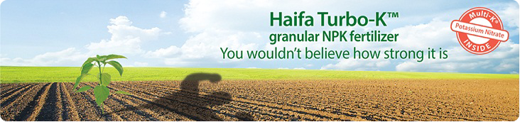 Haifa Turbo-K™ - Granular NPK Complex Fertilizer based on Potassium Nitrate