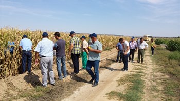 Jornada de campo sobre la fertilización del cultivo del maíz, con fertilizantes de liberación controlada de única aplicación, en diferentes modalidades de siembra. (Seminsa – Haifa Iberia)