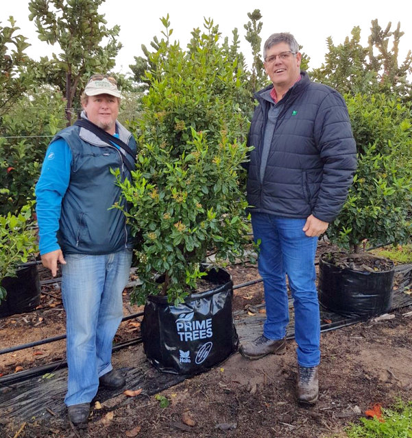 Bruce Stewart, Director of Prime Trees and Michael Koch, Senior Agronomist at Haifa South Africa 