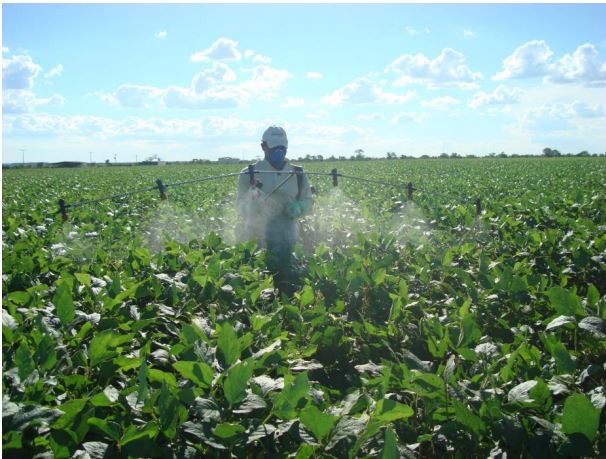 Figura 3. Aplicação de Haifa Bonus NPK® por ocasião do estádio fenológico R5.1 (CPTO/Fundação Bahia, 2015).