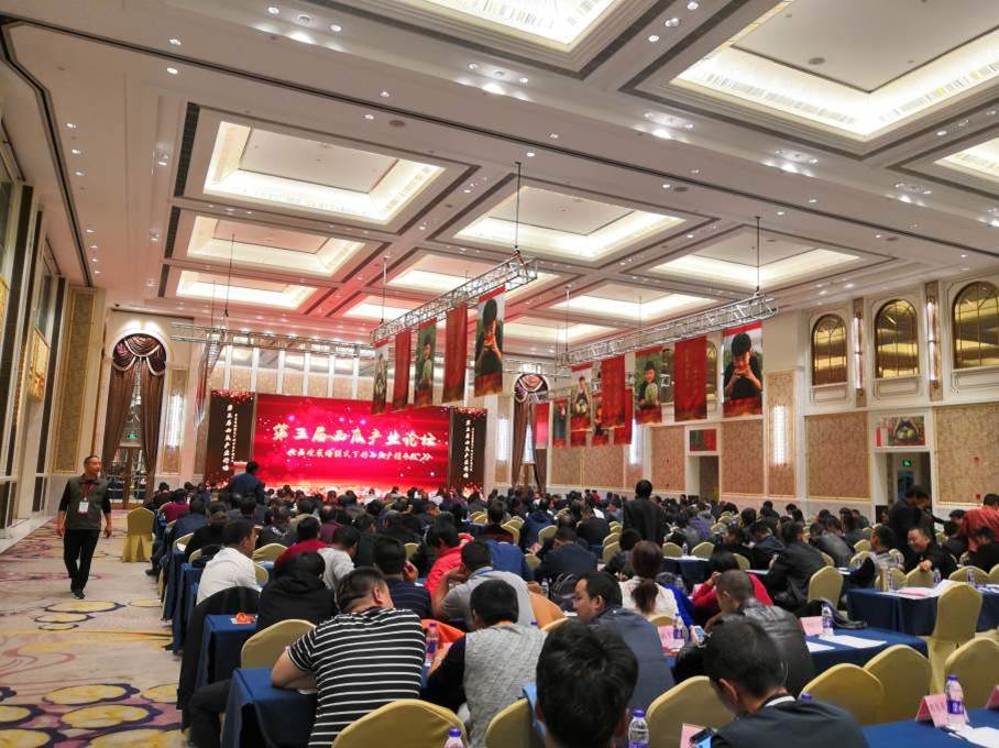 Watermelon Forum in Zhejiang (China) | Haifa Group