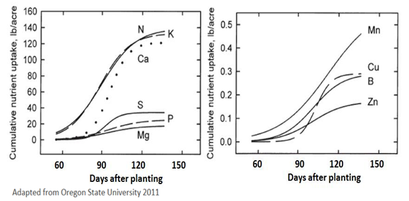 Nutrient Uptake Chart