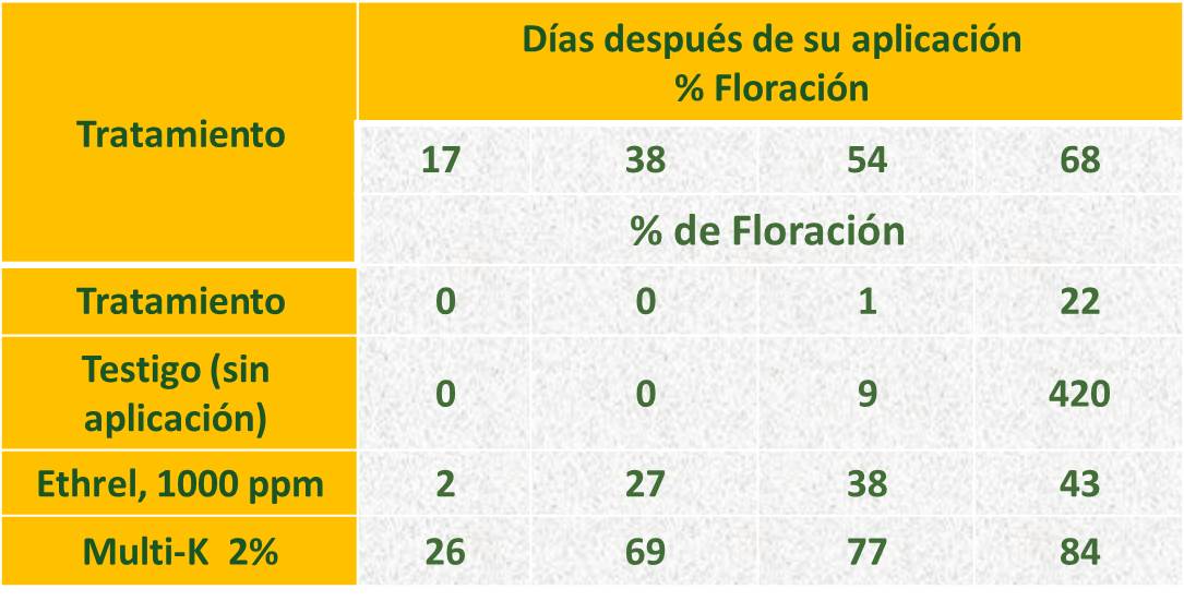 Respuesta del Mango Manila a Tratamientos de Inducción de Floración