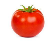 Tomato crop guide - nutritional requirements