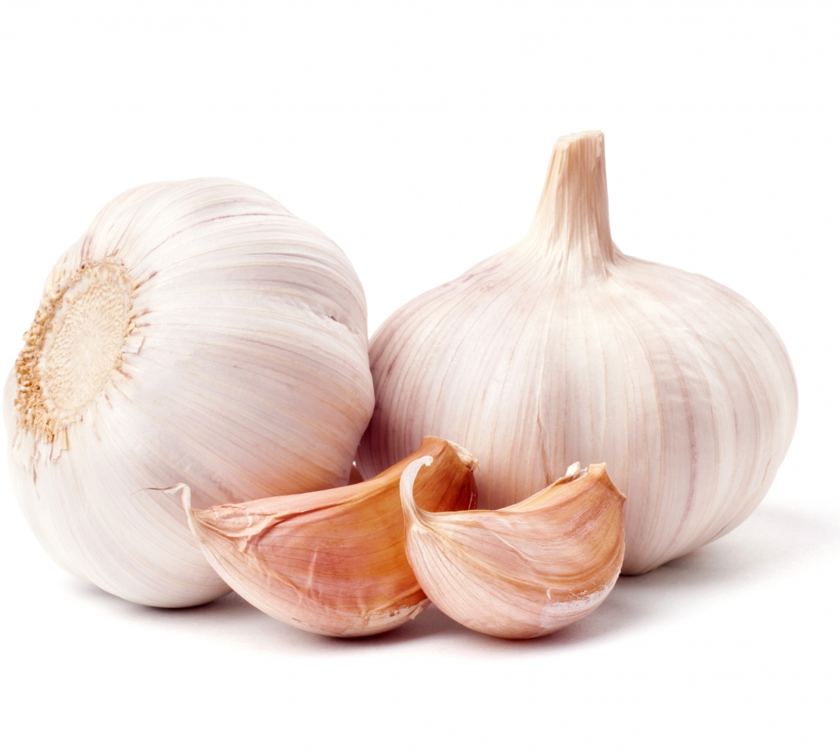 How to grow garlic with Haifa Fertilizers - Haifa Group