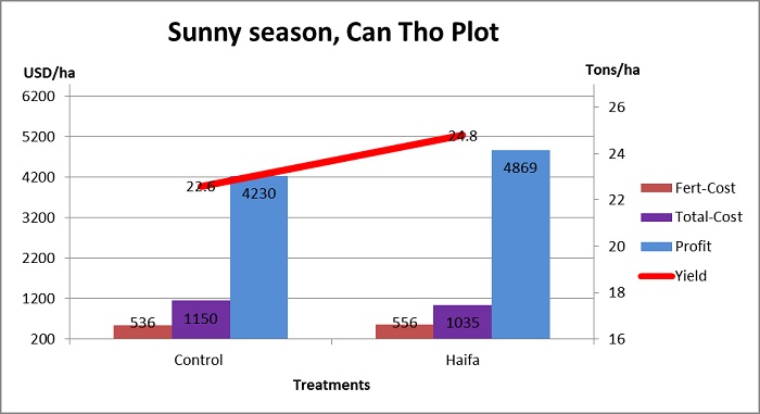 Watermelon fertilizer - Sunny season, Can Tho plot