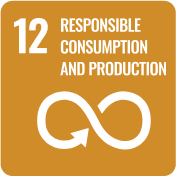 Responsible consumption and production