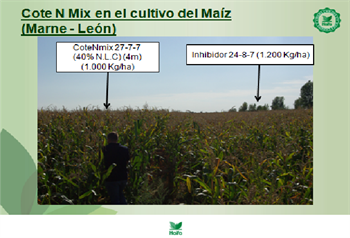 CoteNmix para Maiz, desarrollo en La Provincia de León