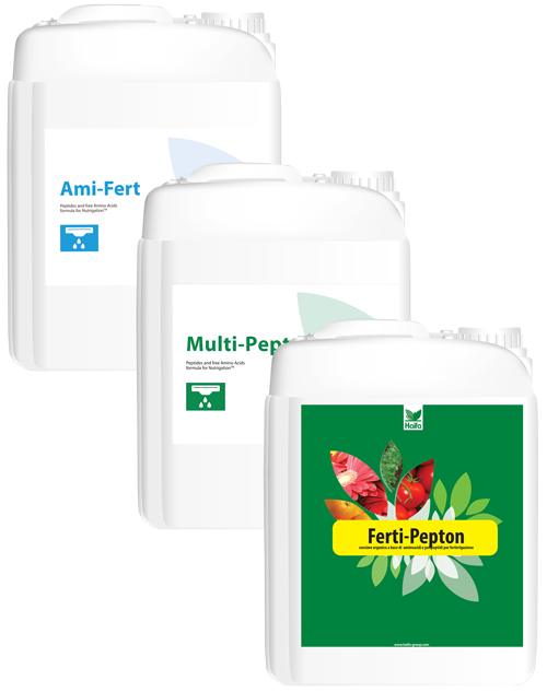 Ami-Fert, Multi-Pepton e Ferti-Pepton