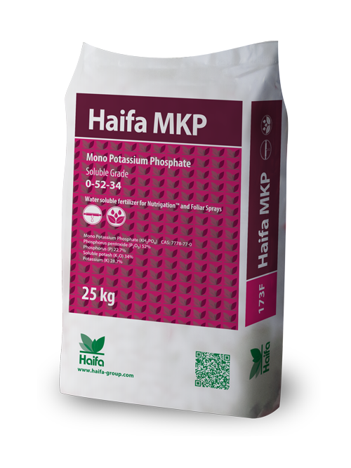 Haifa MKP