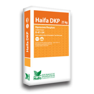 Haifa DKP