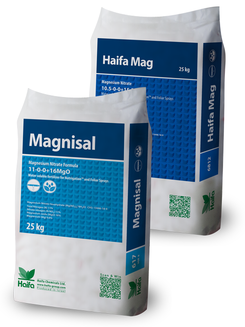 Magnisal e Haifa MAG