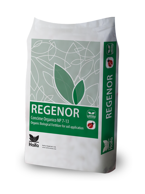 Regenor