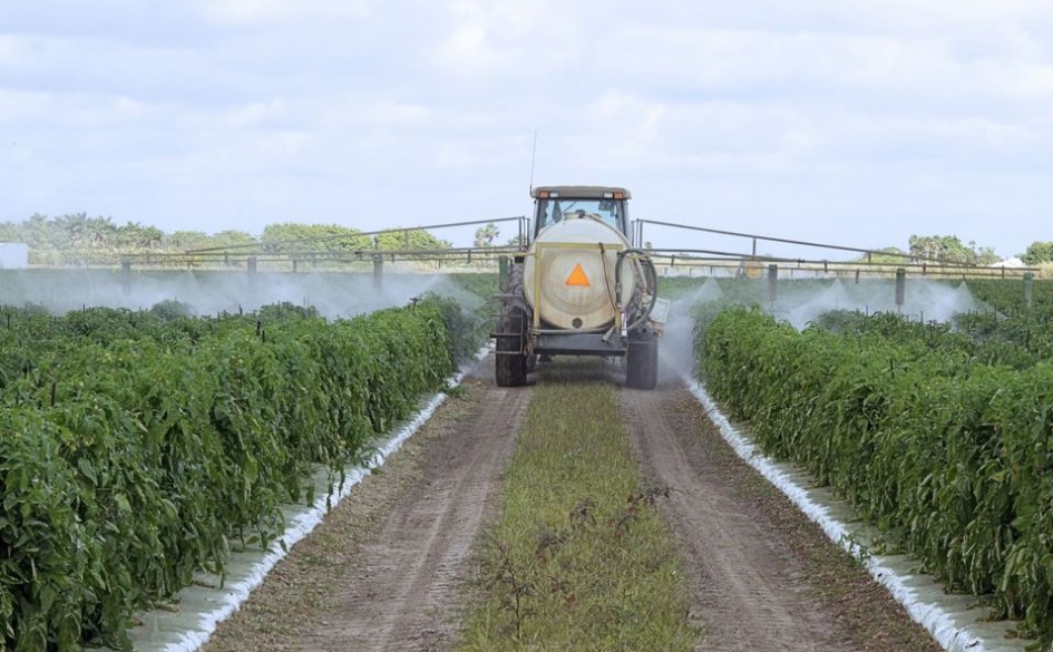 Fertilizer for Soybean Haifa Group