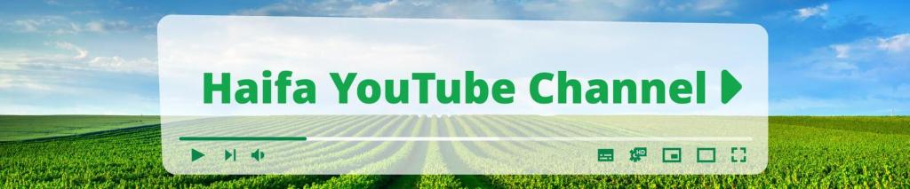 Haifa youtube channel